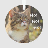 Fluffy Cat Christmas Niedlich Ornament (Rückseite)