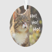 Fluffy Cat Christmas Niedlich Ornament (Vorderseite)