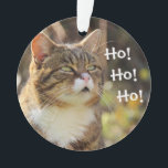 Fluffy Cat Christmas Niedlich Ornament<br><div class="desc">Niedliche,  flauschige Katze mit grünen Augen auf Weihnachtsbaumschmuck.</div>