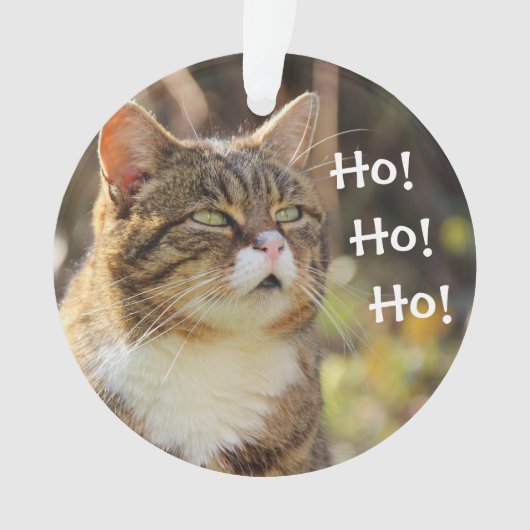 Fluffy Cat Christmas Niedlich Ornament (Vorderseite)