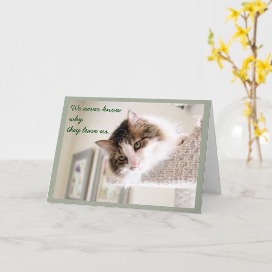 Fluffy Cat Face Beileid Karte (Gelbe Blume)