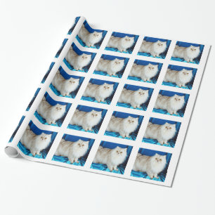 Fluffy Cat Geschenkpapier