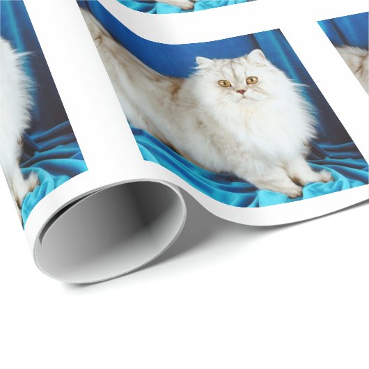 Fluffy Cat Geschenkpapier (Rolleneckpunkt)