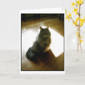 Fluffy Cat in sunshic greeting card Karte (Gelbe Blume)