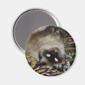 Fluffy Cat Magnet (Vorderseite/Rückseite)