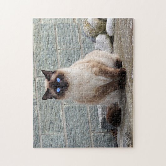 Fluffy Cat mit blauen Augen Puzzle (Vertikal)