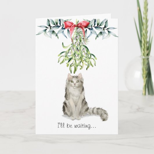 Fluffy Cat Under the Mistletoe Christmas Card Karte (Vorderseite)