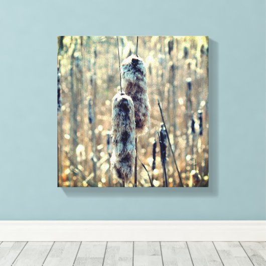 Fluffy Cattails im Frühling Leinwanddruck (Insitu (Holzboden))