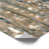 Fluffy Cattails im Frühling Poster (Ecke)