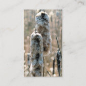 Fluffy Cattails Nature Fotografy Business Card Visitenkarte (Rückseite)