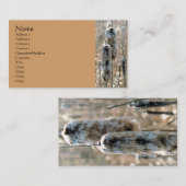 Fluffy Cattails Nature Fotografy Business Card Visitenkarte (Vorne/Hinten)