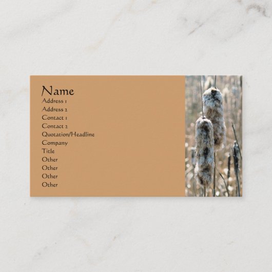 Fluffy Cattails Nature Fotografy Business Card Visitenkarte (Vorderseite)