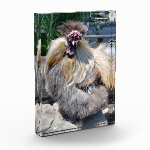 Fluffy Charm Imperfekt: Ein einzigartiges Silky Ro Fotoblock