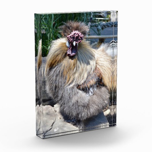 Fluffy Charm Imperfekt: Ein einzigartiges Silky Ro Fotoblock (Links)