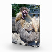 Fluffy Charm Imperfekt: Ein einzigartiges Silky Ro Fotoblock (Rechts)
