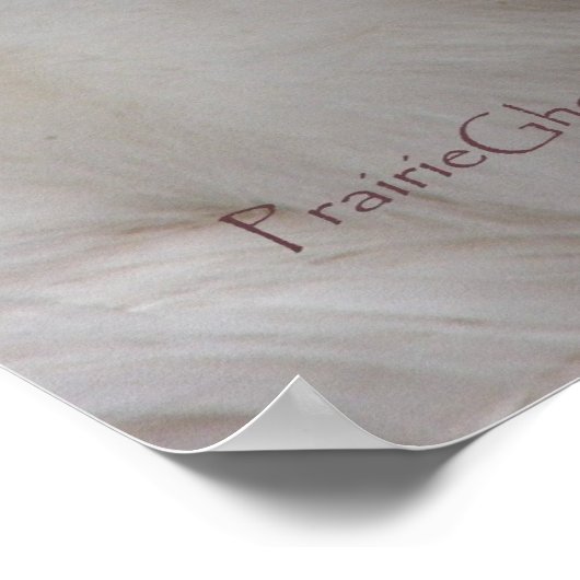 Fluffy Chicken 2 Poster (Ecke)