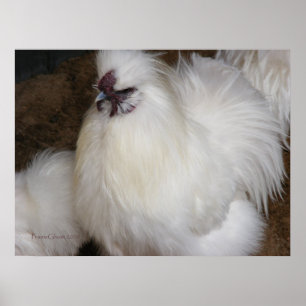 Fluffy Chicken 2 Poster