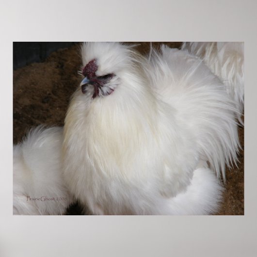 Fluffy Chicken 2 Poster (Vorne)