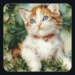 Fluffy christmas cat Watercolor Quadratischer Aufkleber<br><div class="desc">Katzenjungtier,  Vintage kleine künstlerische Malerei ,  liebevolle Baby-Illustration Mode,  Freude hübsche Malxmas,  bezaubernder Kopfschal,  Winterfarbfeline,  niedliche,  flauschige Cartoon-Skizze ,  Aquarellfeier lustig,  Jahr glücklich Kätzchen gezeichnet ,  neue Haustiere zeichnend Kunst ,  Weihnachtskatzentier, </div>