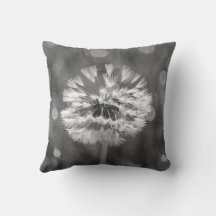 Fluffy Dandelion Black and White Blume Cotton