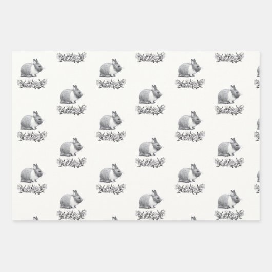 Fluffy des Kaninchens Geschenkpapier Set (Vorderseite 3)