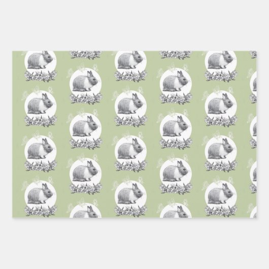 Fluffy des Kaninchens Geschenkpapier Set (Vorderseite 2)