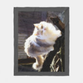 Fluffy Dilute Calico Maine Coon Cat Fleecedecke (Vorderseite)