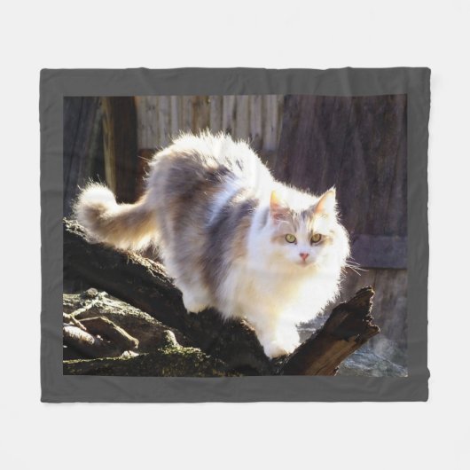 Fluffy Dilute Calico Maine Coon Cat Fleecedecke (Vorderseite (Horizontal))