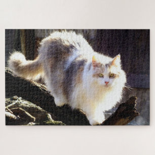 Fluffy Dilute Calico Maine Coon Cat Puzzle