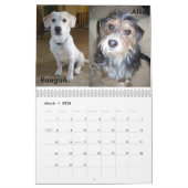 Fluffy Dog Rescue Kalender (Mär 2026)