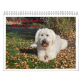 Fluffy Dog Rescue Kalender (Titelbild)
