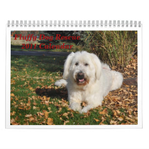 Fluffy Dog Rescue Kalender
