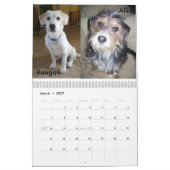 Fluffy Dog Rescue Kalender (Mär 2027)