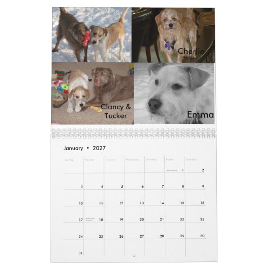 Fluffy Dog Rescue Kalender (Jan 2027)