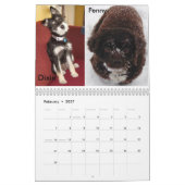 Fluffy Dog Rescue Kalender (Feb 2027)