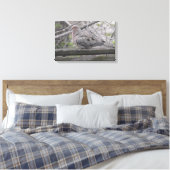 Fluffy Dove Nature Fotografy Leinwanddruck (Insitu (Schlafzimmer))