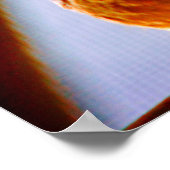 Fluffy Dove Poster (Ecke)