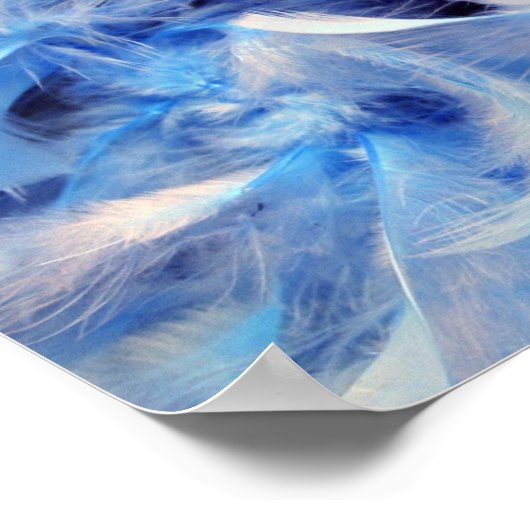 Fluffy Feathers Poster (Ecke)