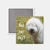 Fluffy Frizzy Bad Hair Day Dog Magnet (Vorderseite/Rückseite)