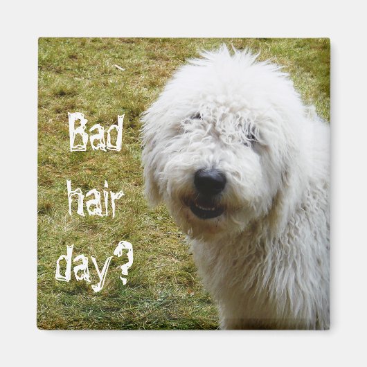 Fluffy Frizzy Bad Hair Day Dog Magnet (Vorne)
