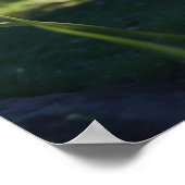 *~* Fluffy Furry Kitty Cat 5:4 Feline Kitten Poster (Ecke)