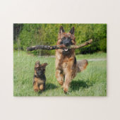 Fluffy German Shepherd Dog and Puppy Puzzle (Horizontal)