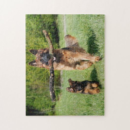 Fluffy German Shepherd Dog and Puppy Puzzle (Vertikal)