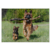 Fluffy German Shepherd Dog and Puppy Schneidebrett (Vorderseite)