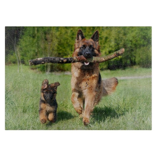 Fluffy German Shepherd Dog and Puppy Schneidebrett (Vorderseite)
