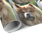 Fluffy Geschenkpapier (Rolleneckpunkt)