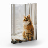 Fluffy Ginger Cat im Fenster Fotoblock (Links)