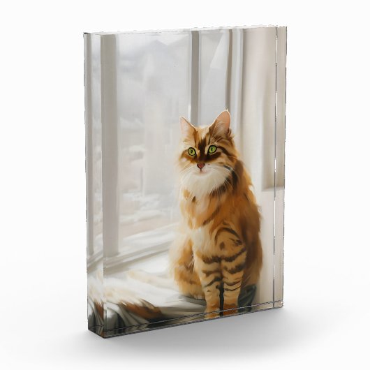 Fluffy Ginger Cat im Fenster Fotoblock (Links)