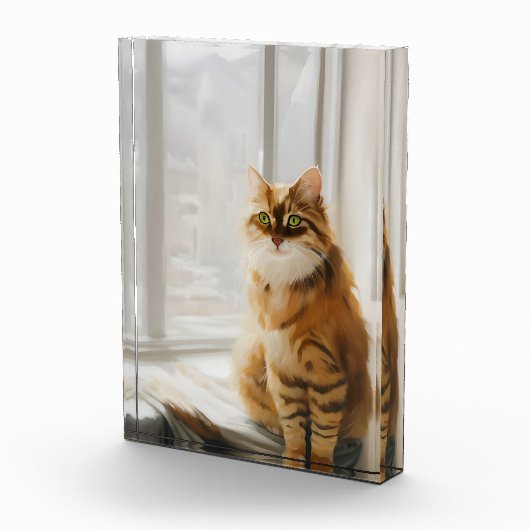 Fluffy Ginger Cat im Fenster Fotoblock (Rechts)