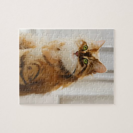 Fluffy Ginger Cat im Fenster Puzzle (Horizontal)